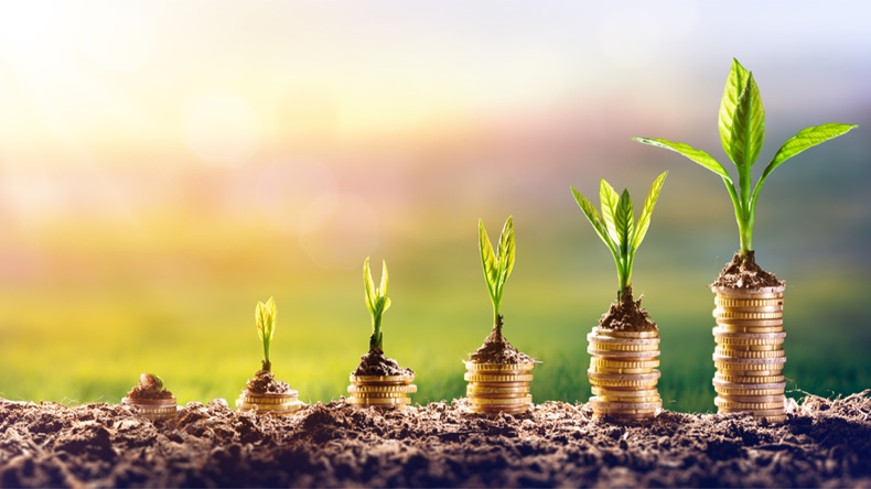 Growing Money - Plant On Coins - Finance And Investment Concept - Image 