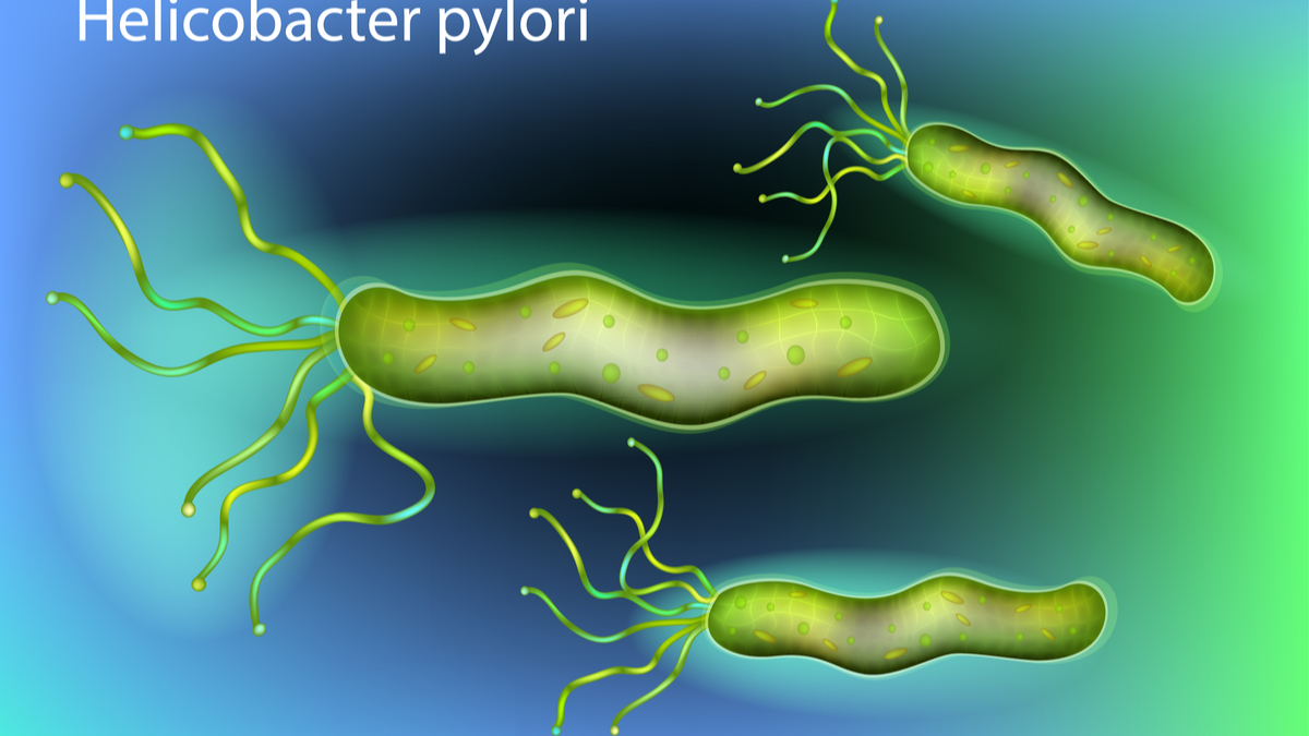 Alimentos para helicobacter pylori