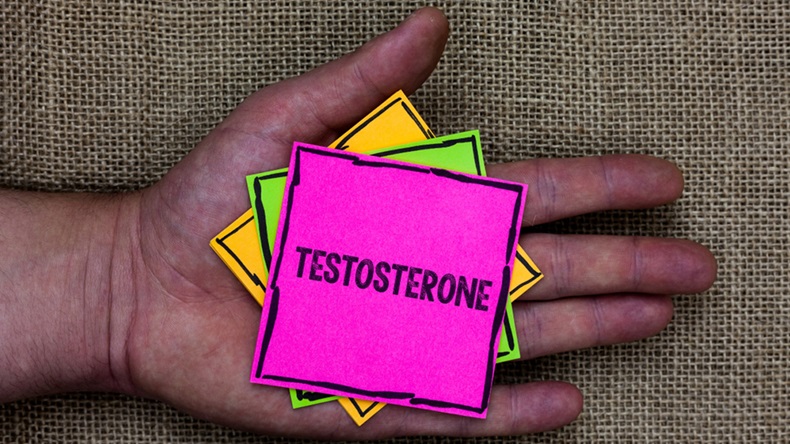 Text sign showing Testosterone. Conceptual photo Male hormones development and stimulation sports substance Holding small pitches art papers thoughts ideas memories mat black shadow. - Image 