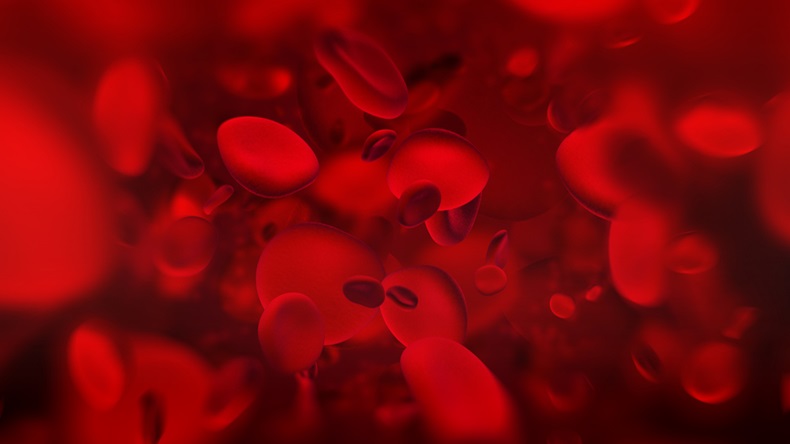 Red blood cells. Blood elements - red blood cells responsible for oxygen carrying over, regulation pH blood, a food and protection of cages of an organism. - Illustration 