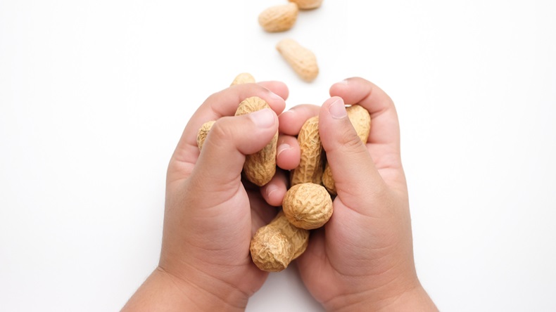 Child's hand holding Peanuts, isolated on a white background. - Image 