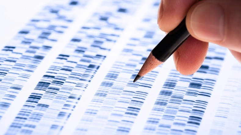Scientist analyzes DNA gel used in genetics, forensics, drug discovery, biology and medicine.