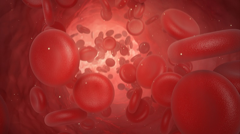 3d illustration of red blood cells in the artery