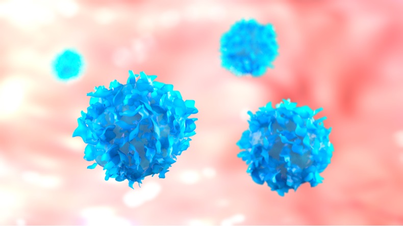T-cells - lymphocytes