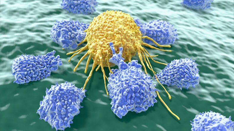 Cancer_Cells