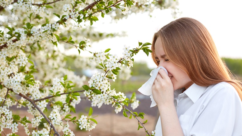 Pollen allergy