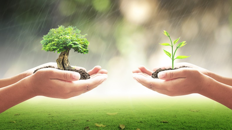 World environment day concept: Two human hands holding big and small trees on blurred farming background