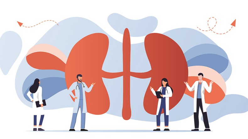 Kidney healthcare, doing medical research