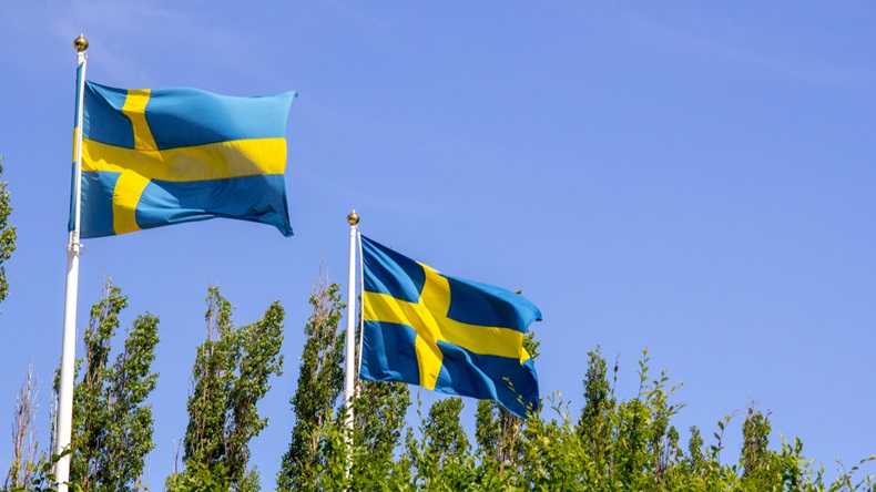 Swedish flags