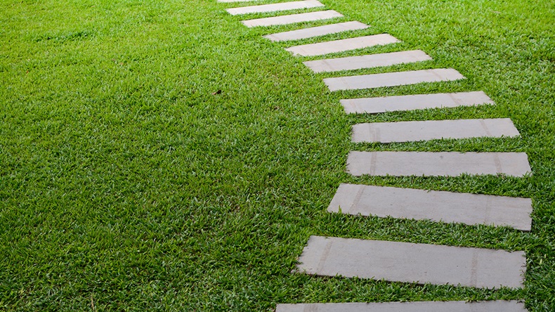 Pathway in the garden outdoor, forward stepping stones or pebbled in the grass lawn.