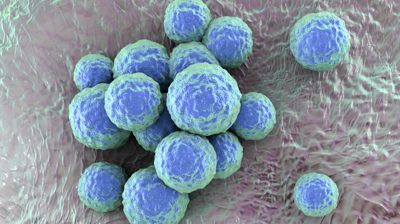 Meticillin Resistant Staphylococcus aureus