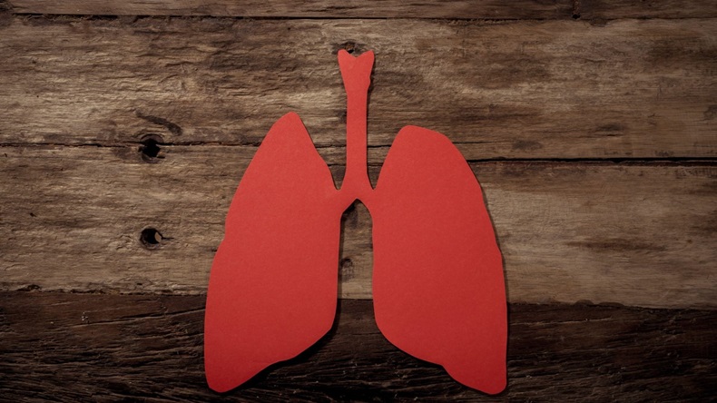Red paper lungs on wood background