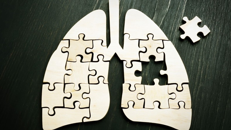 Lung cancer; wooden puzzle on dark surface