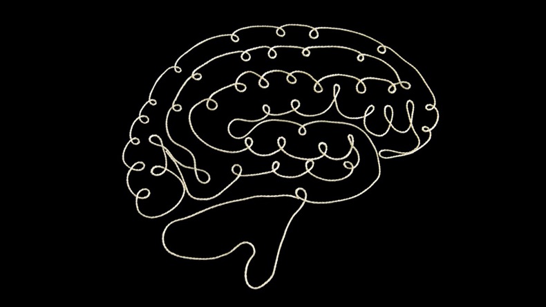 Human brain drawn with string