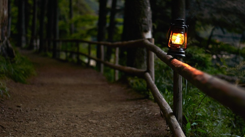 Illuminated oil lamp on fence along woodland path