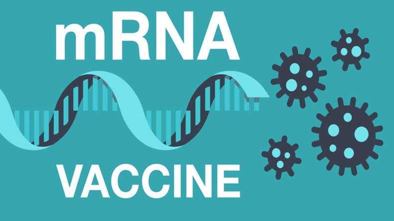 mRNA Vaccine Vector Illustration