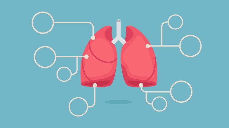 lungs infographic vector illustration