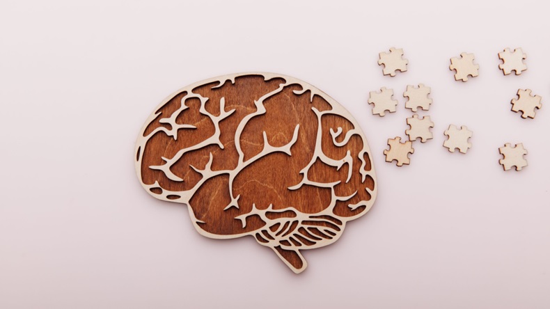 Alzheimer's disease; brain and wooden puzzle on pink background