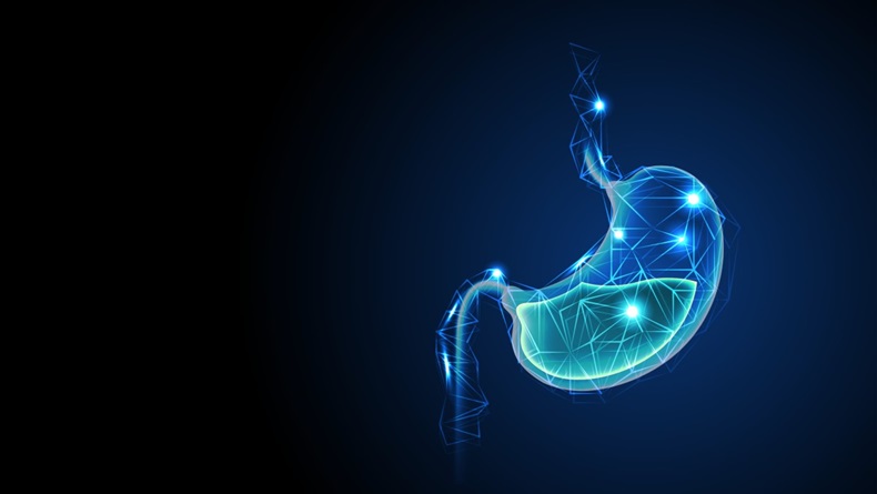 Blue graphic image of stomach against darker blue background, stomach organ