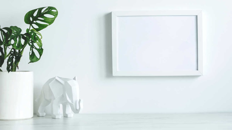 White elephant against white background