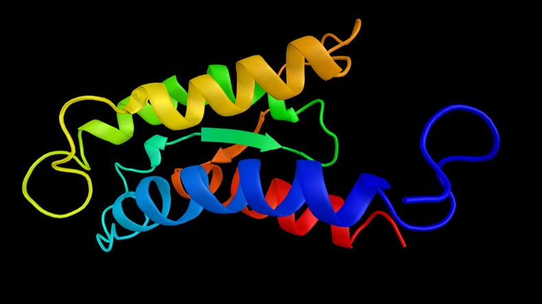 LI-2 Protein_564977620_1200.jpg