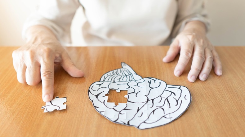 Alzheimer's jigsaw