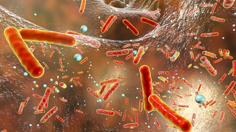 Antibiotic-resistant-bacteria