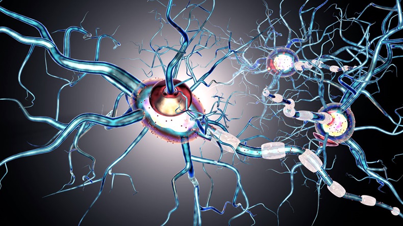 nerve cells, concept for neurodegenerative and neurological disease