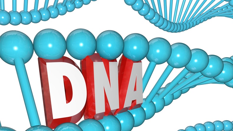 A strand of DNA with the letters or word within it to illustrate genetics, heredity and medical research