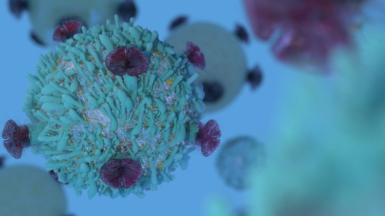 T Cell lymphocyte with receptors for cancer cell immunotherapy research 3D render 